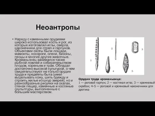 Неоантропы Наряду с каменными орудиями широко использовал кость и рог,