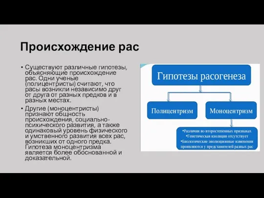 Происхождение рас Существуют различные гипотезы, объясняющие происхождение рас. Одни ученые