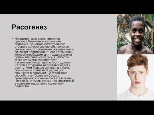 Расогенез Например, цвет кожи, является приспособительным к условиям обитания. Действие