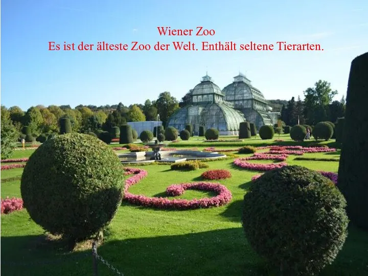 Wiener Zoo Es ist der älteste Zoo der Welt. Enthält seltene Tierarten.
