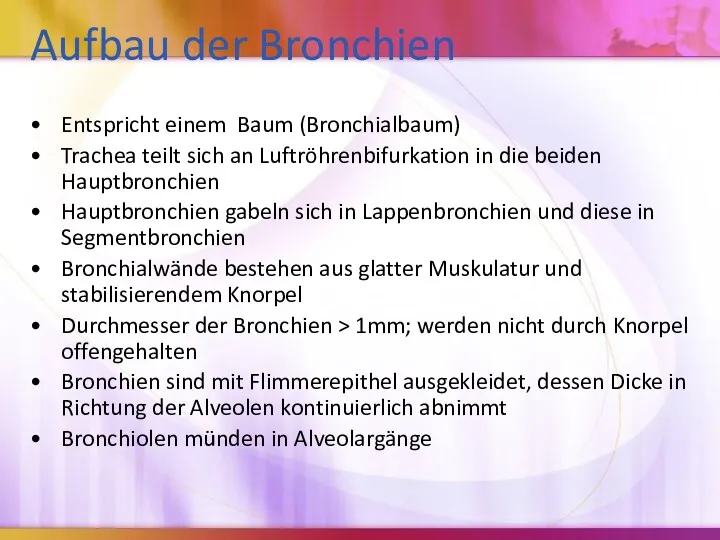 Aufbau der Bronchien Entspricht einem Baum (Bronchialbaum) Trachea teilt sich