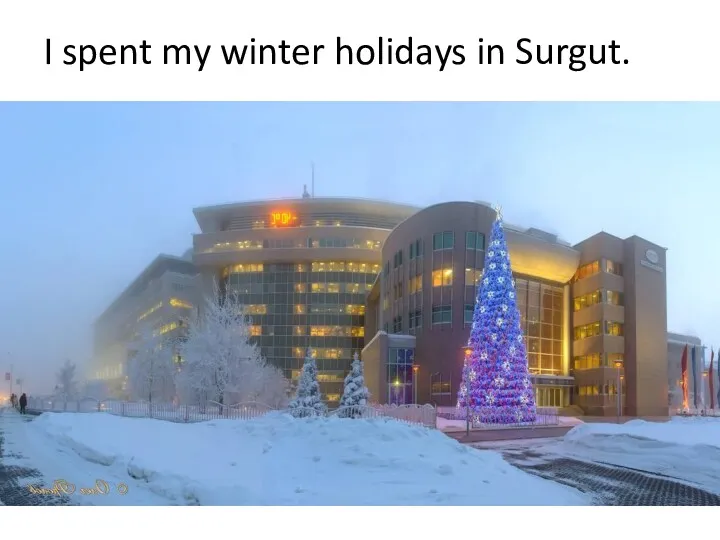 I spent my winter holidays in Surgut.