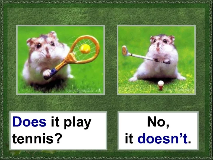 Does it play tennis? No, it doesn’t.