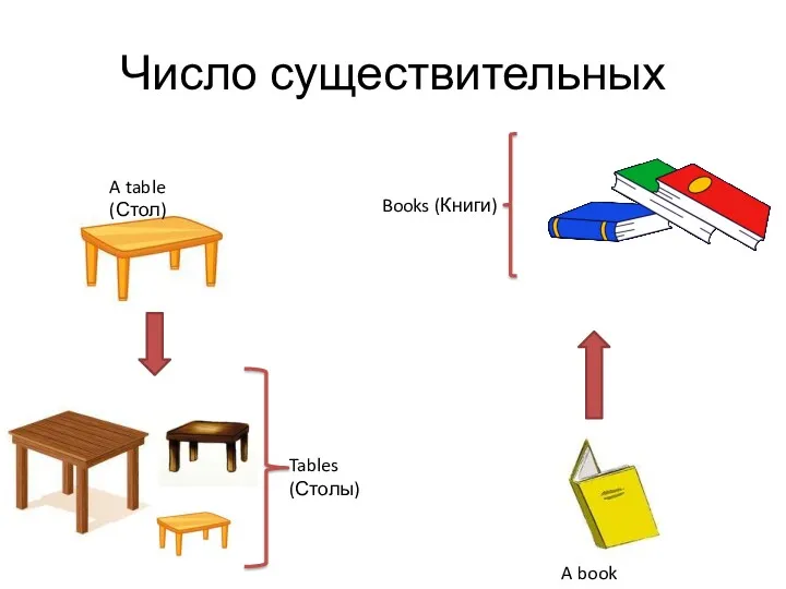 Число существительных A table (Стол) Tables (Столы) A book (Книга) Books (Книги)