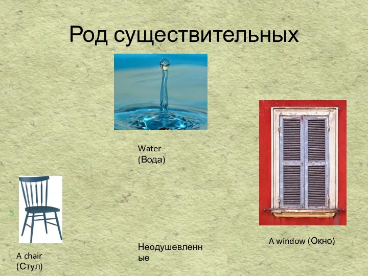 Род существительных A chair (Стул) Water (Вода) A window (Окно) Неодушевленные