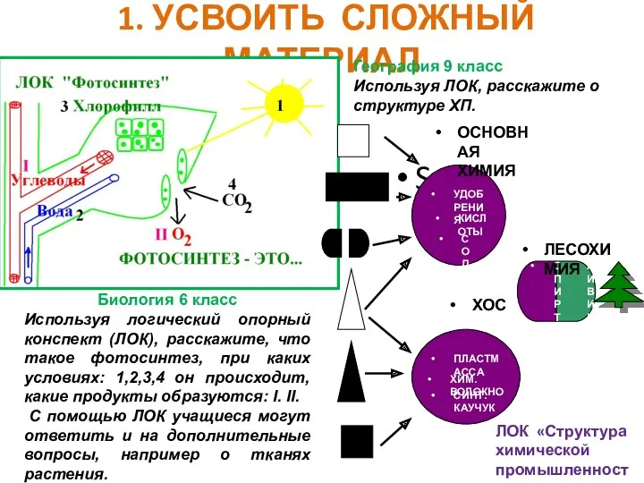 1. УСВОИТЬ СЛОЖНЫЙ МАТЕРИАЛ Биология 6 класс Используя логический опорный