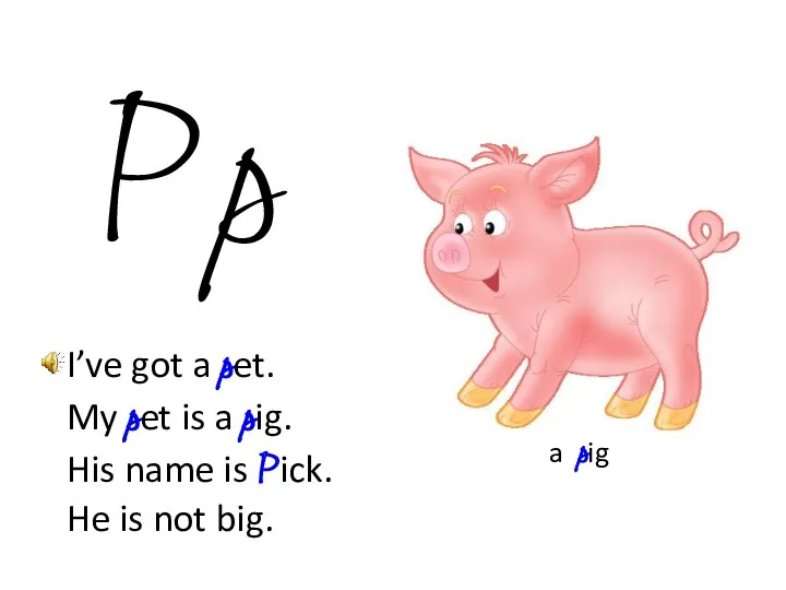 a pig P p I’ve got a pet. My pet is a pig.