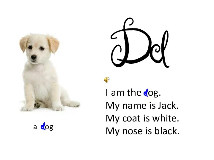 D d I am the dog. My name is Jack. My coat is