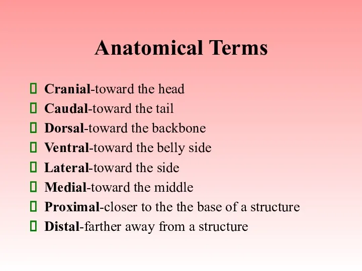 Anatomical Terms Cranial-toward the head Caudal-toward the tail Dorsal-toward the backbone Ventral-toward the