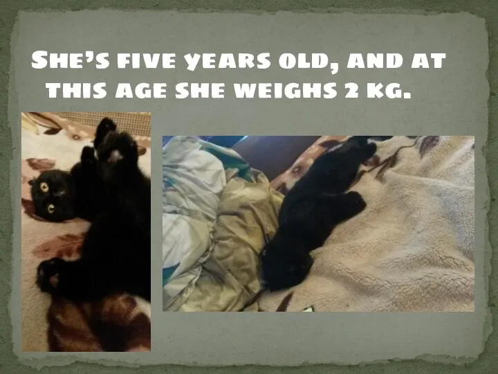 She’s five years old, and at this age she weighs 2 kg.