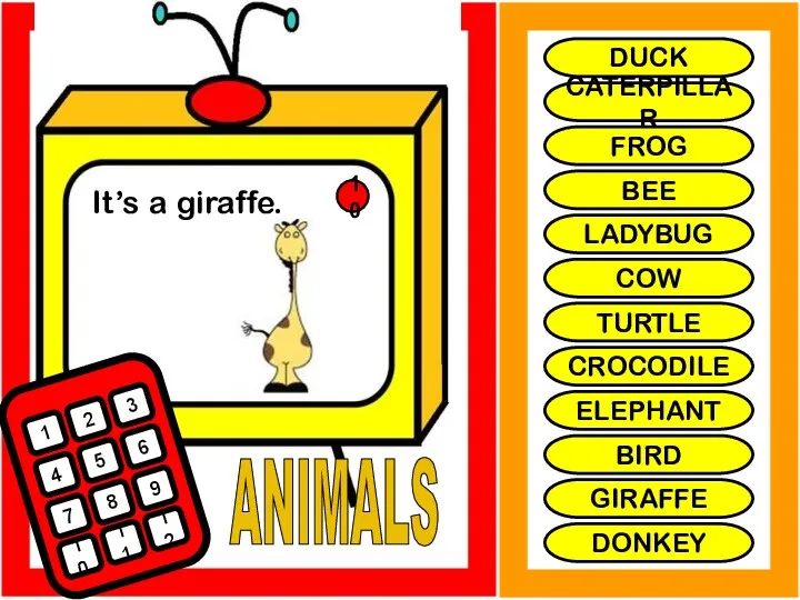 ANIMALS It’s a giraffe. 1 2 3 4 5 6