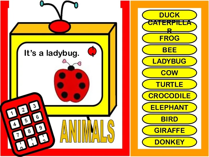 ANIMALS It’s a ladybug. 1 2 3 4 5 6