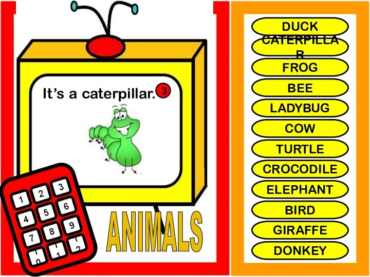 ANIMALS It’s a caterpillar. 1 2 3 4 5 6
