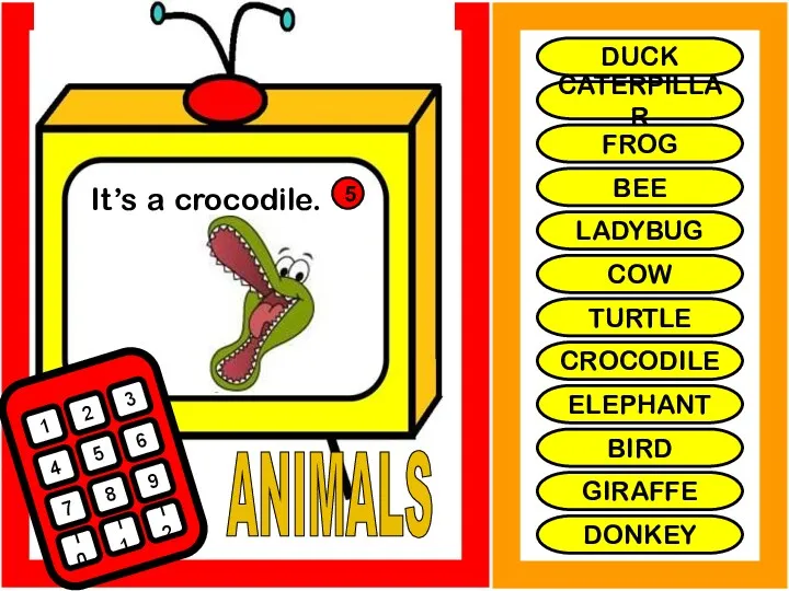 ANIMALS It’s a crocodile. 1 2 3 4 5 6