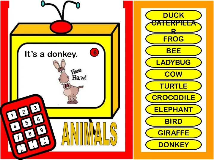 ANIMALS It’s a donkey. 1 2 3 4 5 6