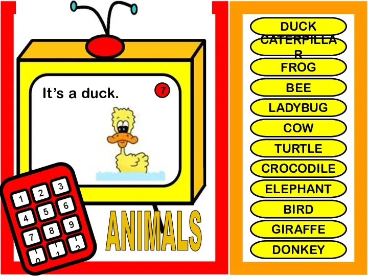 ANIMALS It’s a duck. 1 2 3 4 5 6