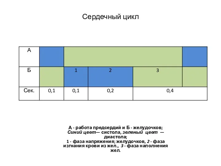 Сердечный цикл А - работа предсердий и Б - желудочков;