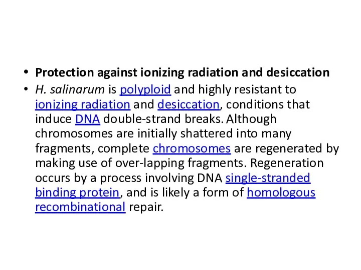 Protection against ionizing radiation and desiccation H. salinarum is polyploid