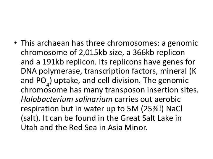 This archaean has three chromosomes: a genomic chromosome of 2,015kb