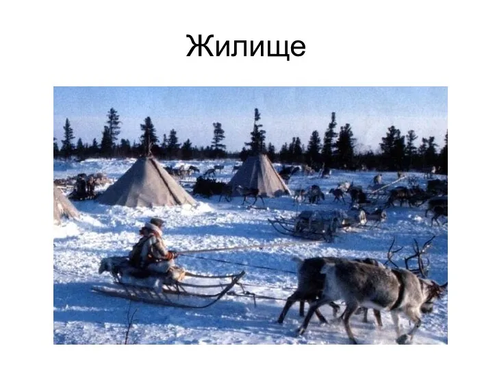 Жилище