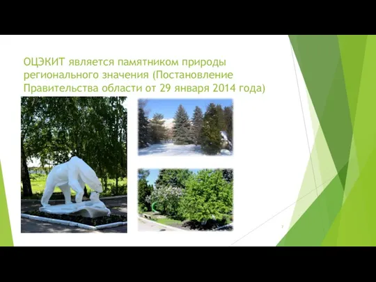 ОЦЭКИТ является памятником природы регионального значения (Постановление Правительства области от 29 января 2014 года)