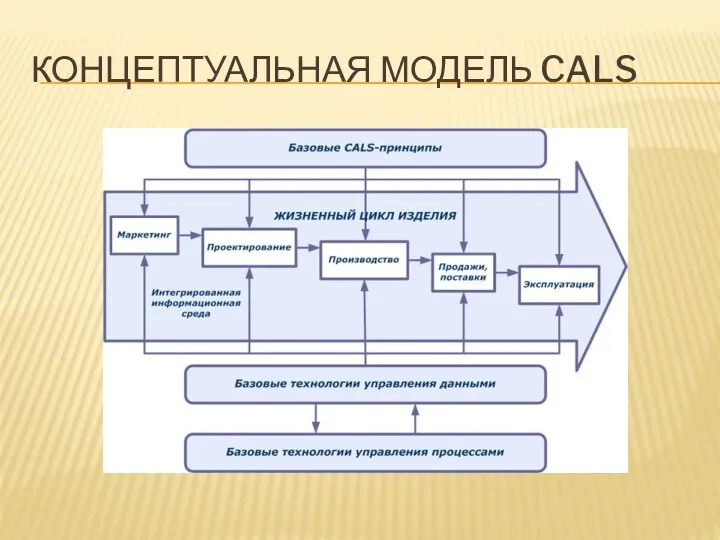 КОНЦЕПТУАЛЬНАЯ МОДЕЛЬ CALS