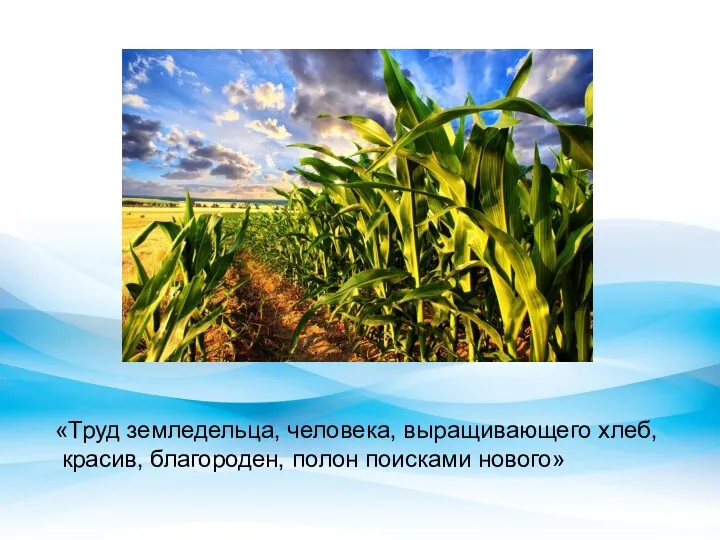 «Труд земледельца, человека, выращивающего хлеб, красив, благороден, полон поисками нового»