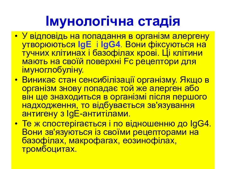 Імунологічна стадія У відповідь на попадання в організм алергену утворюються