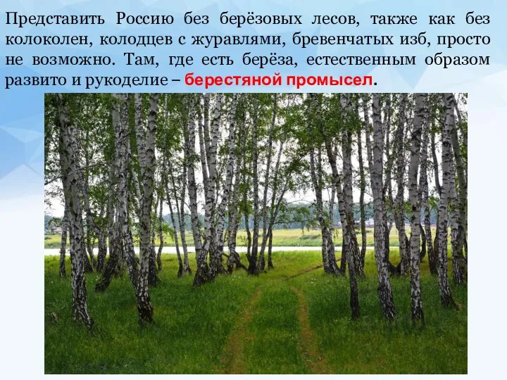 Представить Россию без берёзовых лесов, также как без колоколен, колодцев