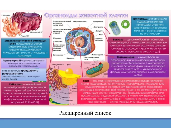 Расширенный список