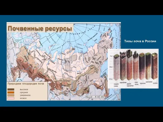 Типы почв в России