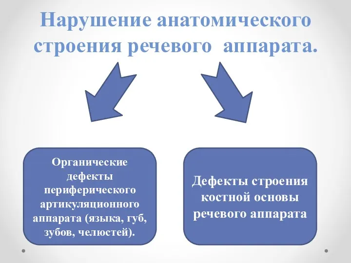 Нарушение анатомического строения речевого аппарата. Органические дефекты периферического артикуляционного аппарата