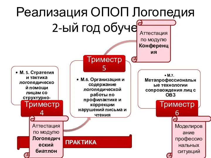 ПРАКТИКА Реализация ОПОП Логопедия 2-ый год обучения Аттестация по модулю