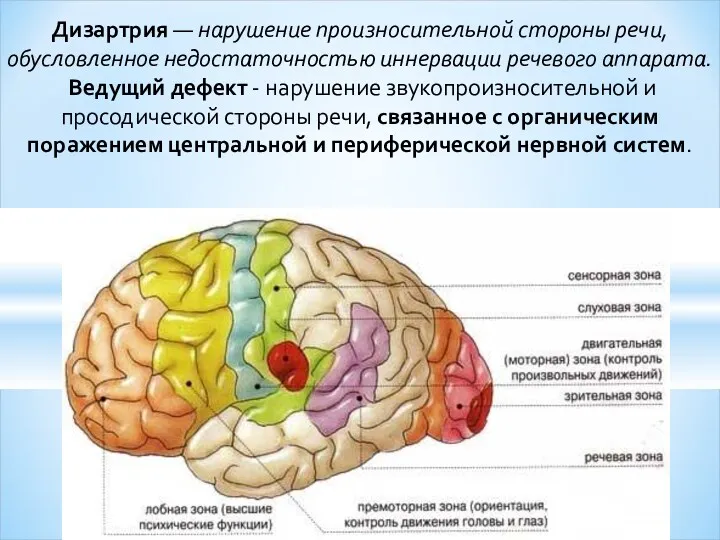 Дизартрия — нарушение произносительной стороны речи, обусловленное недостаточностью иннервации речевого