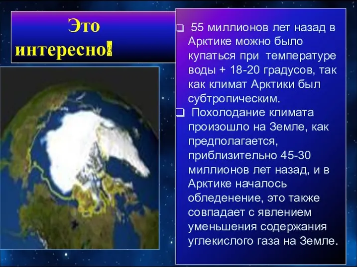 55 миллионов лет назад в Арктике можно было купаться при