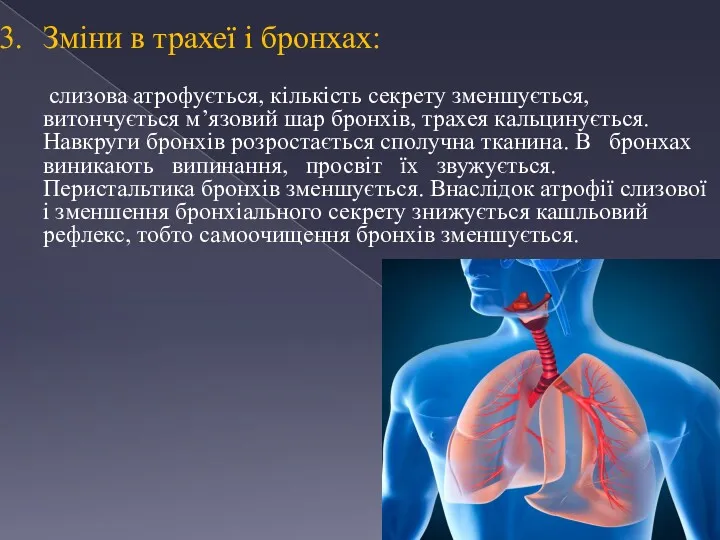 Зміни в трахеї і бронхах: слизова атрофується, кількість секрету зменшується,