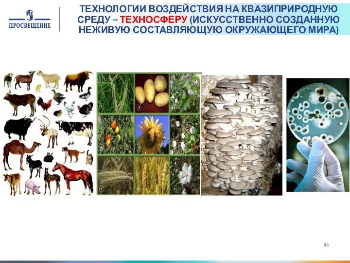 ТЕХНОЛОГИИ ВОЗДЕЙСТВИЯ НА КВАЗИПРИРОДНУЮ СРЕДУ – ТЕХНОСФЕРУ (ИСКУССТВЕННО СОЗДАННУЮ НЕЖИВУЮ СОСТАВЛЯЮЩУЮ ОКРУЖАЮЩЕГО МИРА)