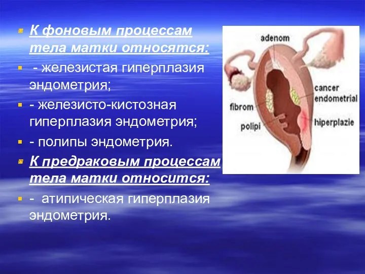 К фоновым процессам тела матки относятся: - железистая гиперплазия эндометрия;