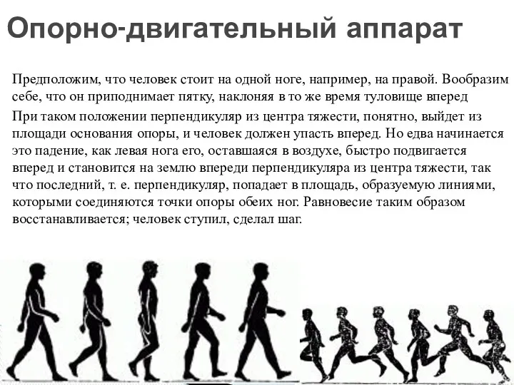 Предположим, что человек стоит на одной ноге, например, на правой.