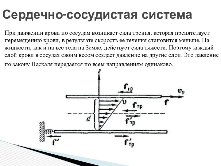 При движении крови по сосудам возникает сила трения, которая препятствует