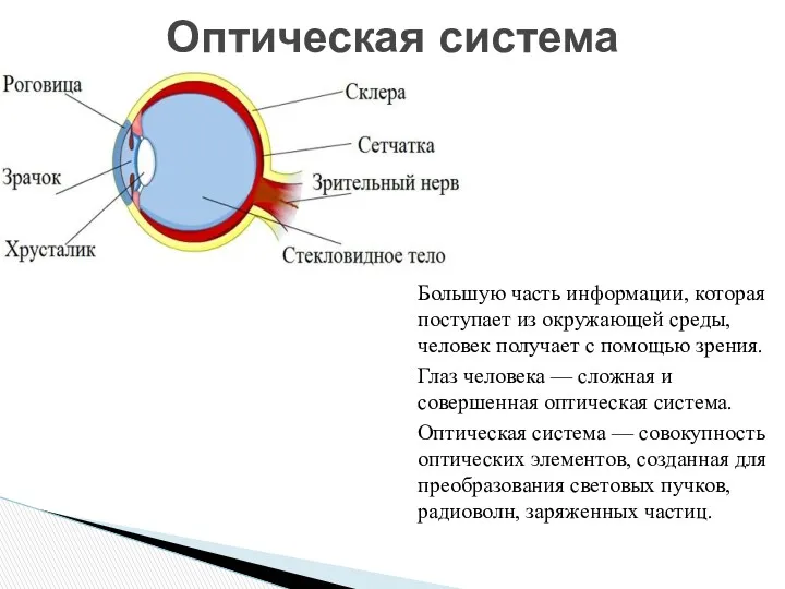 Большую часть информации, которая поступает из окружающей среды, человек получает