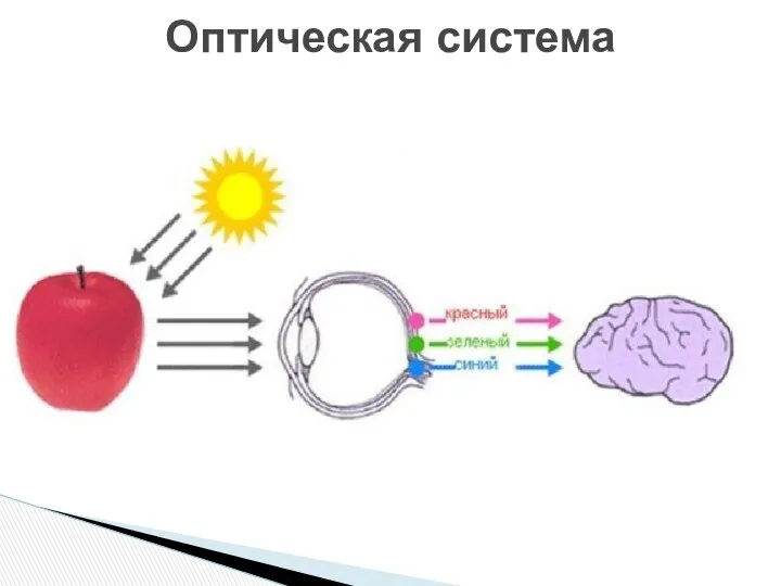 Оптическая система