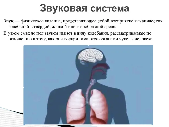 Звук — физическое явление, представляющее собой восприятие механических колебаний в