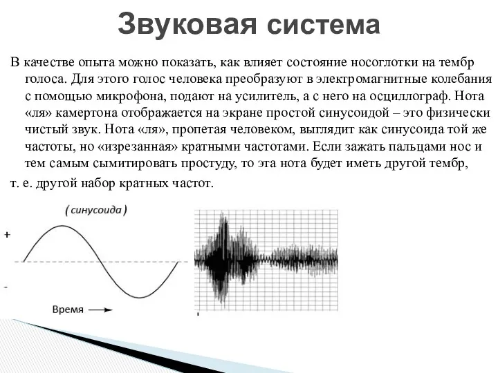 В качестве опыта можно показать, как влияет состояние носоглотки на