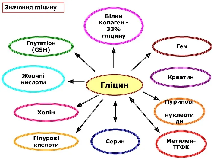 Гліцин Серин Білки Колаген - 33% гліцину Глутатіон (GSH) Холін