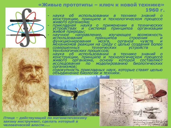 «Живые прототипы – ключ к новой технике» 1960 г. наука