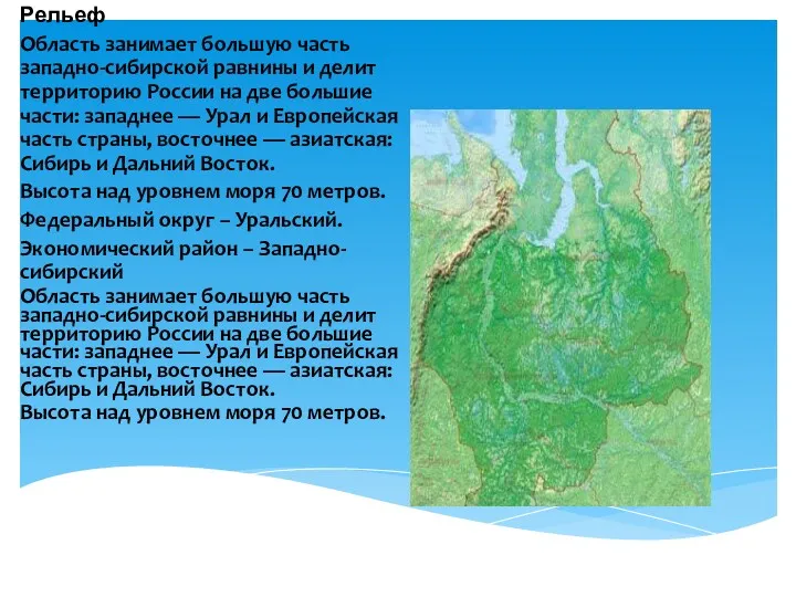 Рельеф Область занимает большую часть западно-сибирской равнины и делит территорию
