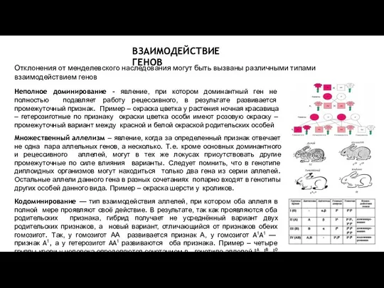 Отклонения от менделевского наследования могут быть вызваны различными типами взаимодействием