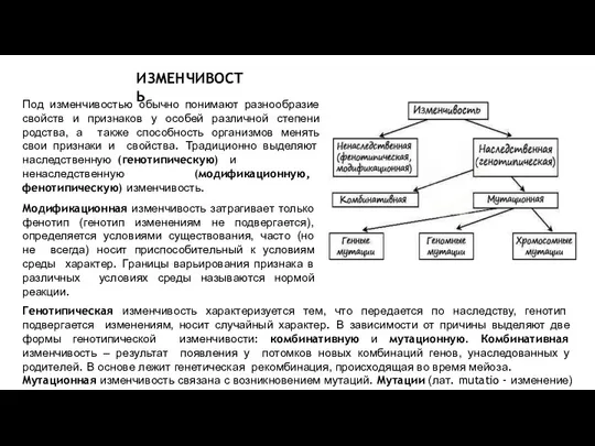 ИЗМЕНЧИВОСТЬ Под изменчивостью обычно понимают разнообразие свойств и признаков у