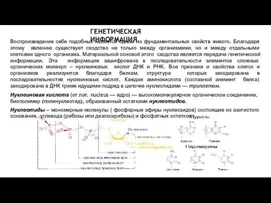 Воспроизведение себе подобных является одним из фундаментальных свойств живого. Благодаря